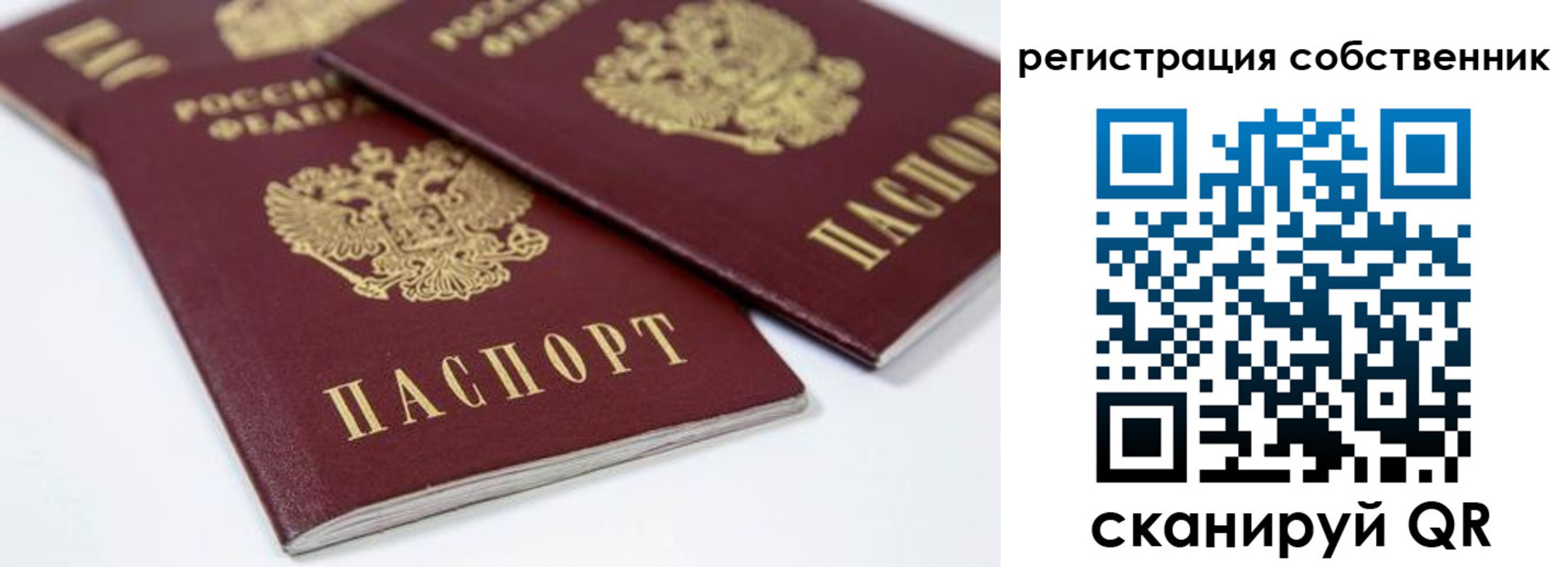прописка для школы в Саратовской области